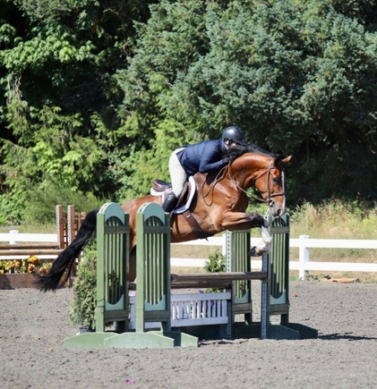 Lauren Vogel of La Center, Washington, shown riding here before her stroke, is looking forward to resuming full activities as a horse trainer following a new procedure at OHSU to stimulate her vagus nerve and promote recovery. (Courtesy of Lauren Vogel) Lauren rides her horse over a jump.