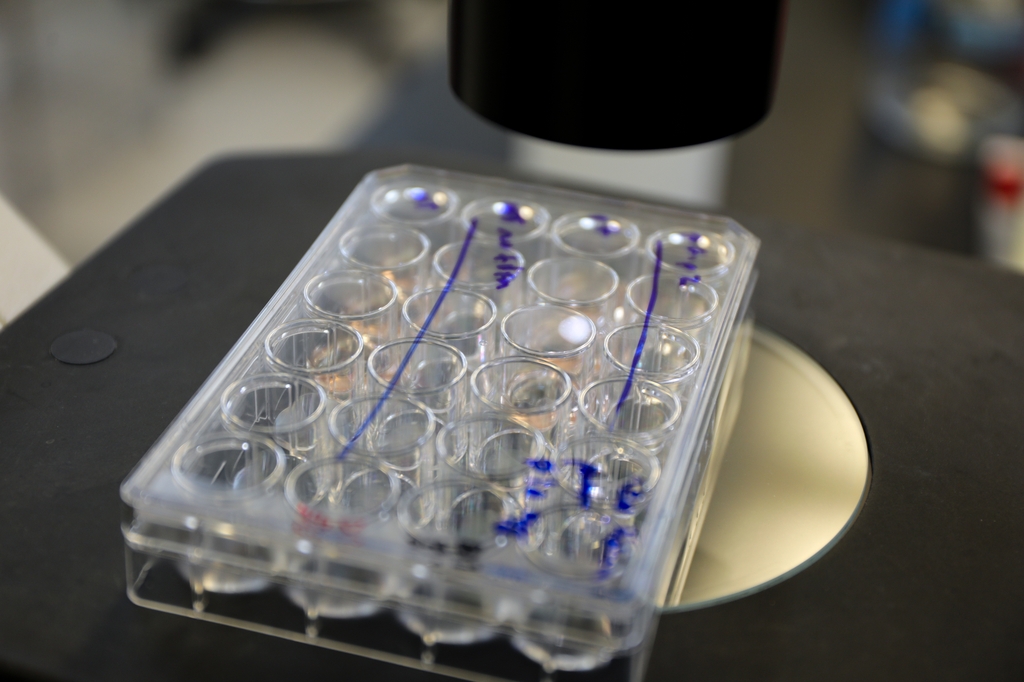 Research collaboration at OHSU