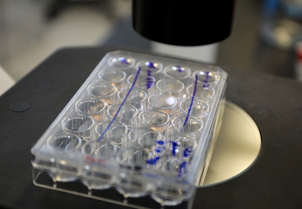 Research collaboration at OHSU