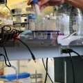 Video: Grab glass tube walk in lab