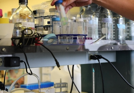 Video: Grab glass tube walk in lab