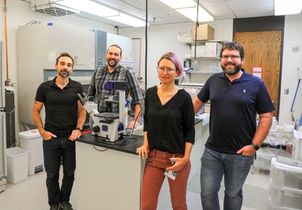 OHSU researchers secure $12.5 million to explore ubiquitin, a fundamental driver of health, disease