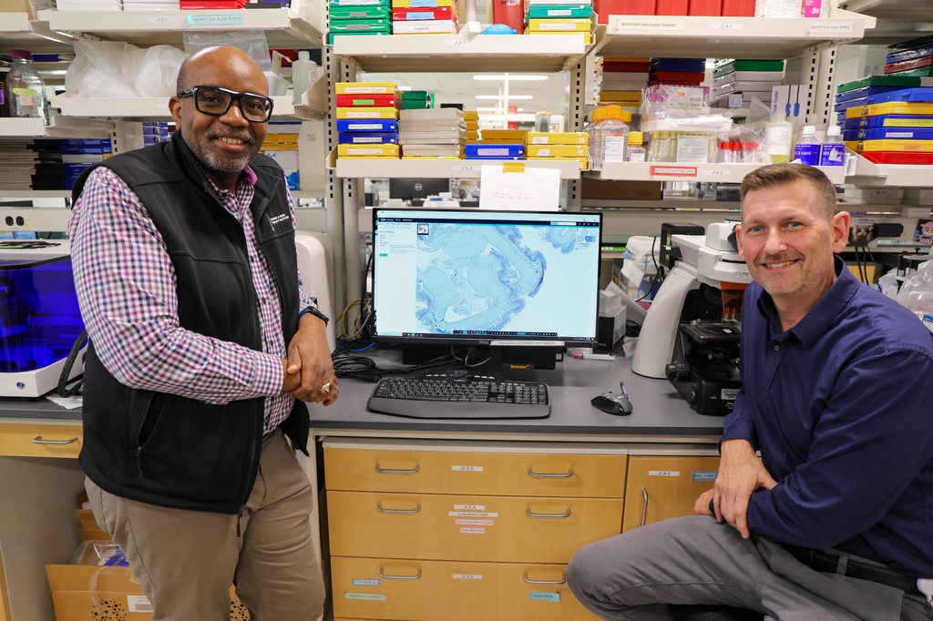 HIV gut-brain research at OHSU