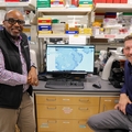 HIV gut-brain research at OHSU