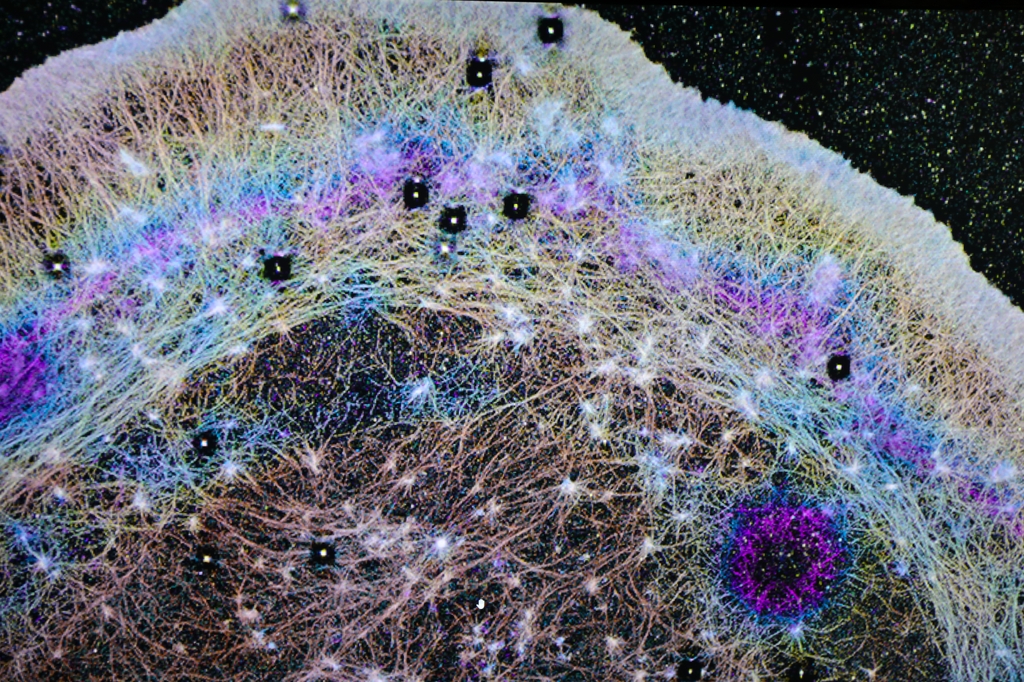 Image is a computer screen with different colors of clustered dots, akin to looking at a vast colorful outer space image.