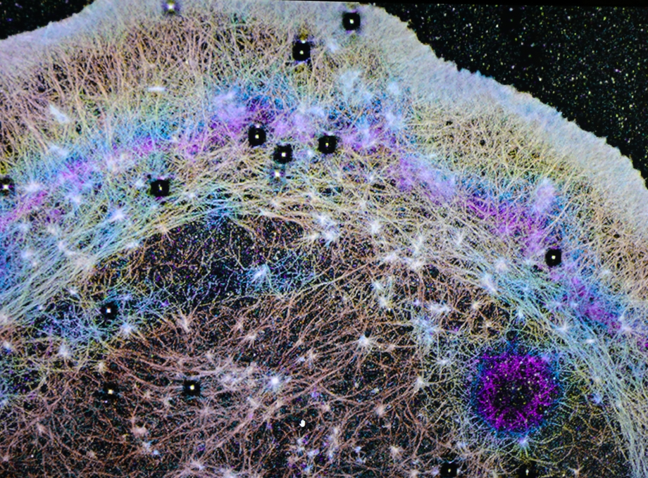 Galbraith research
