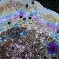 OHSU study uncovers internal cell ‘trade winds’ that drive movement and repair