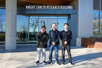 Nueva herramienta de investigación de cáncer predice supervivencia de pacientes en resolución de una única célula