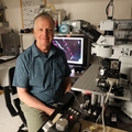Investigación que vincula la tinnitus con la serotonina