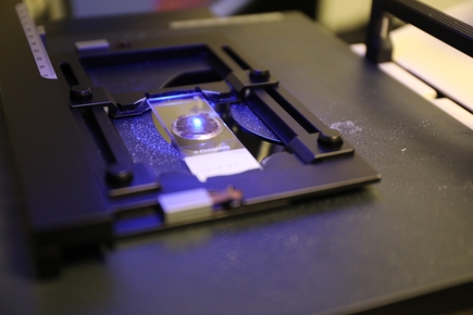 Katelyn Byrne Lab 2