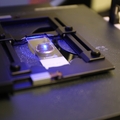 Katelyn Byrne Lab 2