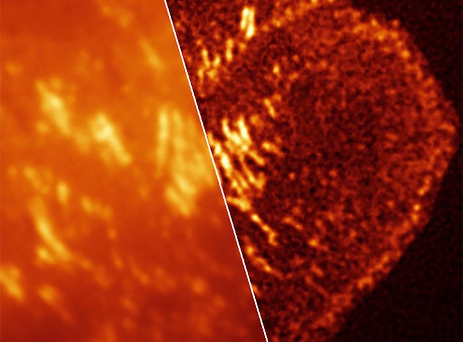 Cathy Galbraith research image of a cell in red and gold abstract.