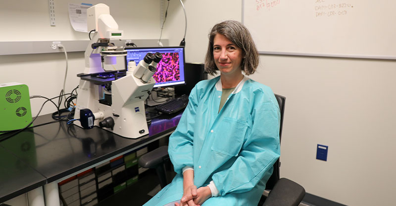 OHSU research reveals how pancreatic cancer blocks immunotherapy | OHSU News