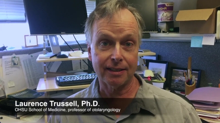 Video: Tinnitus