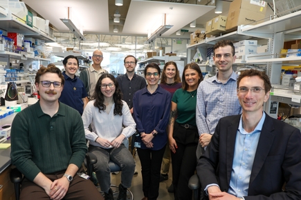 Ibsen lab