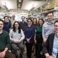 Ibsen lab