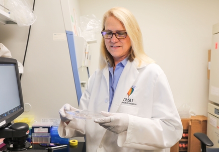 Cancer-causing protein also helps tumors repair their DNA