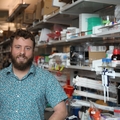 Laboratorio inmunológico demuestra el poder de las células B para agruparse y defender órganos contra el cáncer