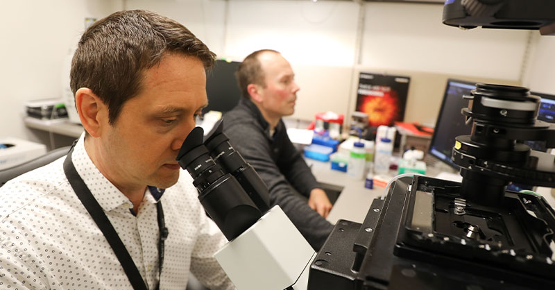 Grant Awarded for Tooth Decay Microbe Research | Mirage News