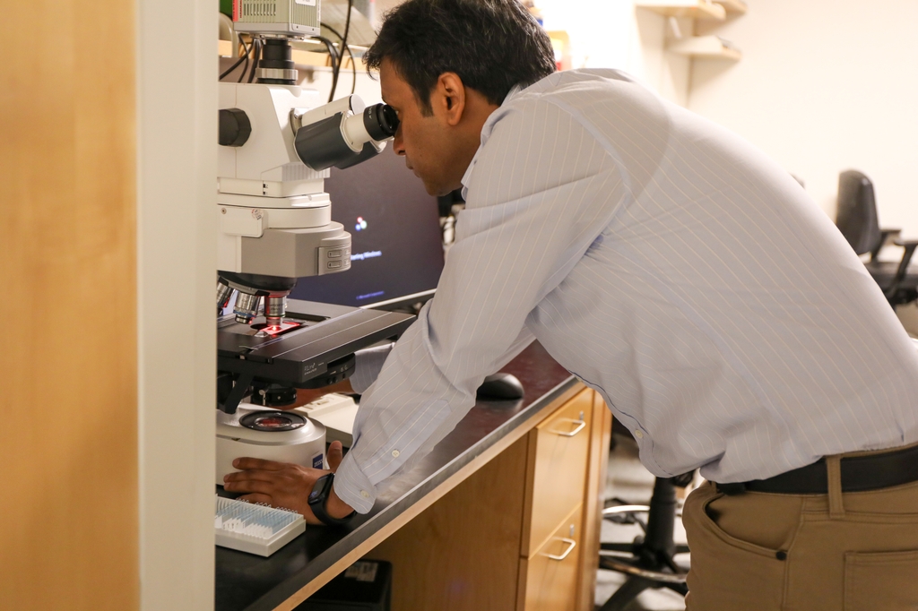 Manideep Chavali, Ph.D.