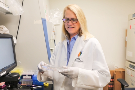 Una proteína causante de cáncer también ayuda a los tumores a reparar su ADN