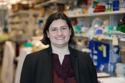 Molly Thomas - Research Week 2026