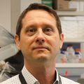 Merritt, has short brown hair and a white dress shirt that has a circle-dot pattern. He is smiling in his lab at OHSU in Portland.
