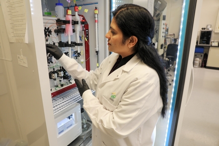 Meghna Gupta - Research Week 2026