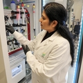 Meghna Gupta - Research Week 2026