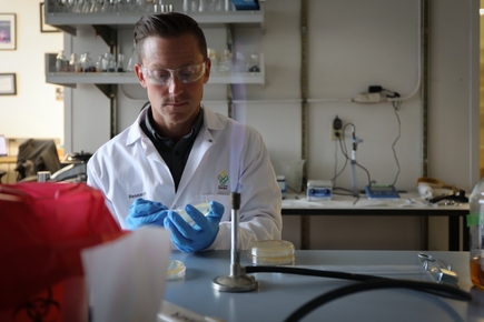 OHSU scientist targets bacteria with precision | OHSU News