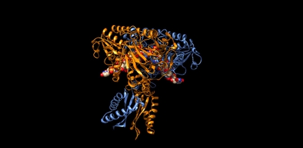 RNase_Dimer