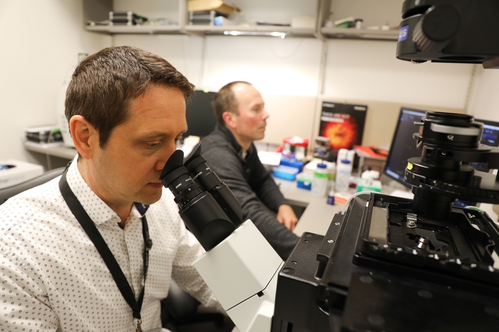 Merritt, has short brown hair and a white dress shirt that has a circle-dot pattern, is sitting in his microscopy lab, looking at dental bacteria slides for his research at OHSU, which studies how to eliminate harmful bacteria in the mouth while preserving beneficial microbes. The strategy could transform how dental disease is treated.