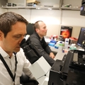 OHSU researcher secures NIH grant to target tooth decay at its microbial roots