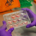Advancing cancer research