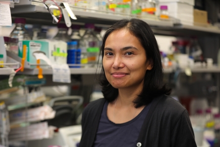 Isabelle Baconguis, Ph.D. (OHSU)