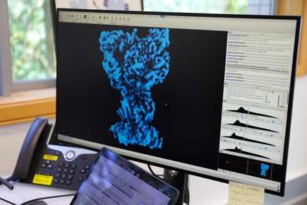 Stroke-related membrane protein structure model - Baconguis lab