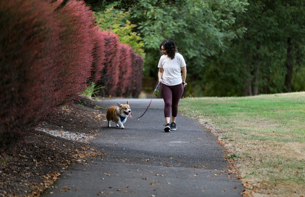 Sarah Efron, 39, spends time with her corgi, Gretzky, at a Portland park. Diagnosed with nonobstructive hypertrophic cardiomyopathy a decade ago, Efron participated in an OHSU-led clinical trial of aficamten and reports significant improvement in symptoms that once made everyday activities increasingly difficult. (OHSU/Christine Torres Hicks) Sarah walks her corgi, Gretsky, through their favorite park near her home in Portland, Oregon.