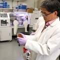 La investigación de Hui Wu sobre bacterias bucales obtiene subvenciones.