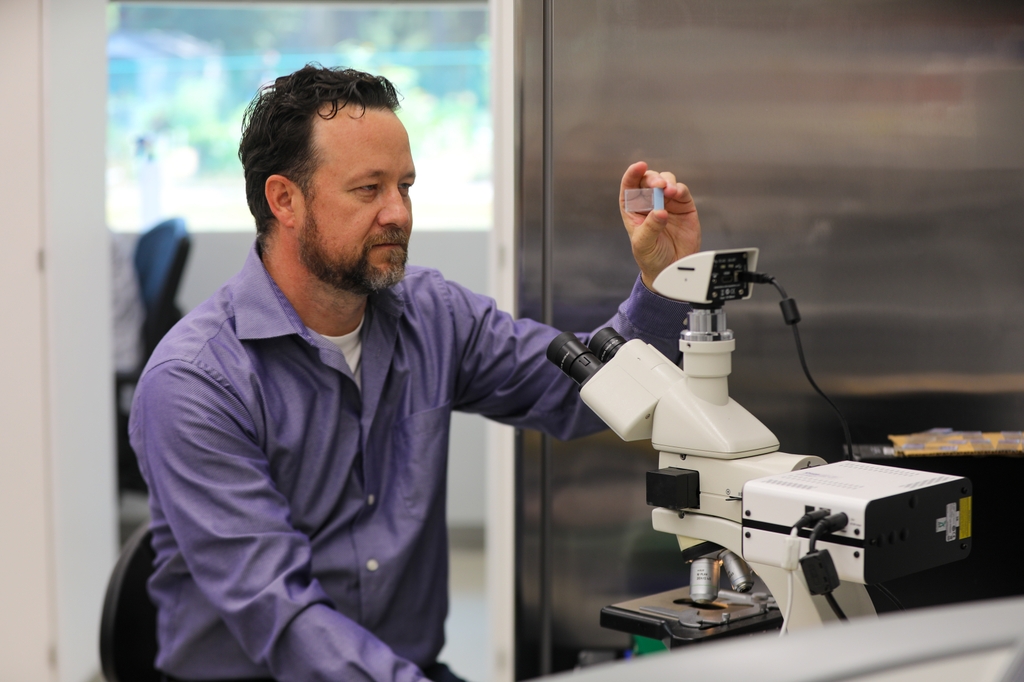 McGill sits at a microscope and picks up a slide with optical nerve tissue and takes a look at it in his lab at OHSU West Campus.