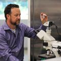 McGill lab optic stem cell therapy research