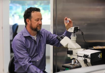 OHSU researcher awarded $4.2 million to advance stem cell therapy for age-related macular degeneration