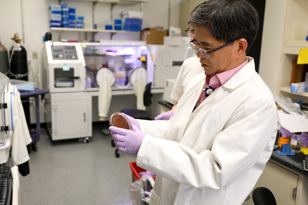 Hui Wu, Ph.D., associate dean for research in the OHSU School of Dentistry, has been awarded more than $5 million to advance oral health research and train the next generation of scientists - part of a total $11 million in federal grants recently awarded to the school. (OHSU/Christine Torres Hicks) Wu holds a dish of bacteria in his lab.