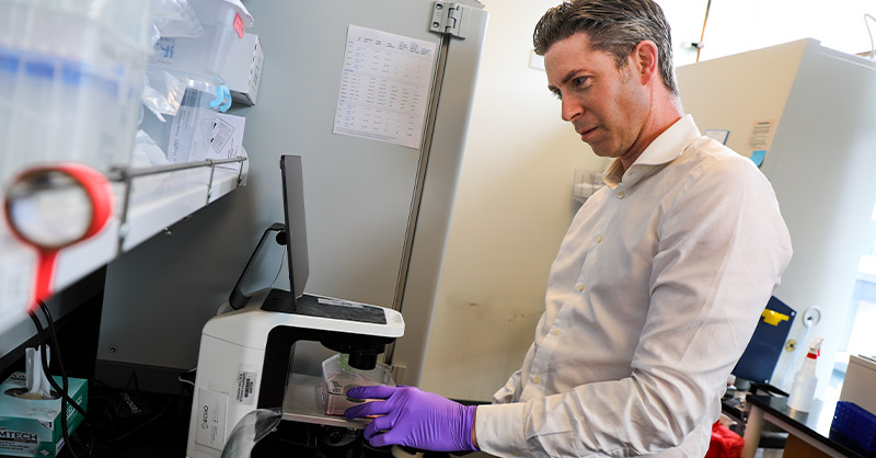 Photo: OHSU News Tumors Use Antioxidant Protein to Disarm Cancer-Fighting T Cells