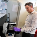 Cancer cells use antioxidant protein to suppress T cells, resist immunotherapy, study finds