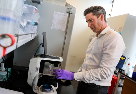 Cancer cells use antioxidant protein to suppress T cells, resist immunotherapy, study finds