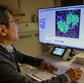 Nakai Lab grants
