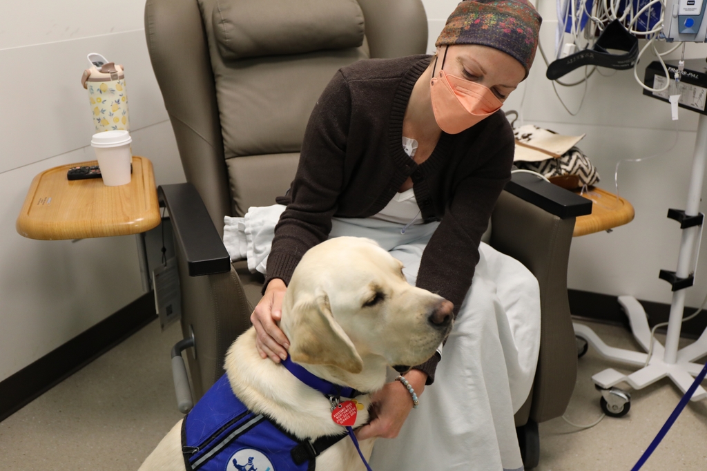 'Doc' the assistance dog at OHSU Knight Cancer Institute
