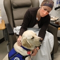 Paciente que recibe infusión como parte de su tratamiento contra el cáncer junto a Doc en OHSU, en Portland, Oregón