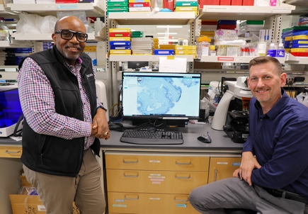 Investigacin sobre la relacin intestino-cerebro en el contexto del VIH en OHSU