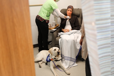 Angela Allen prepares for infusion at OHSU on the South Waterfront, while Doc, lays at her feet. 